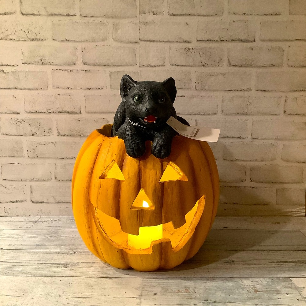 CANDY CORN LANE Led Light Up Pumpkin With Cat Statue